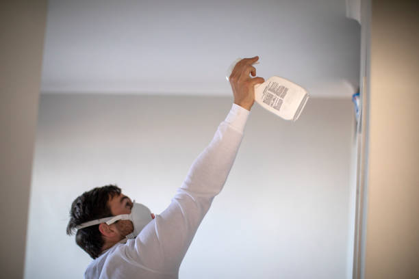 Best Fast Mold Removal  in Wales, WI