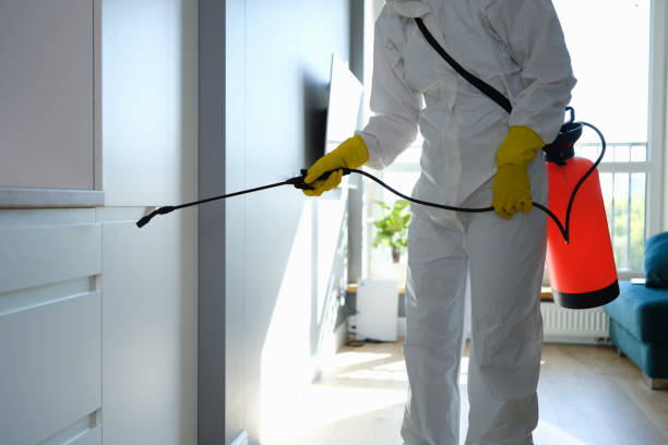 Best Mold Damage Repair  in Wales, WI