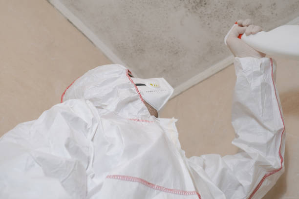 Best Mold Testing  in Wales, WI