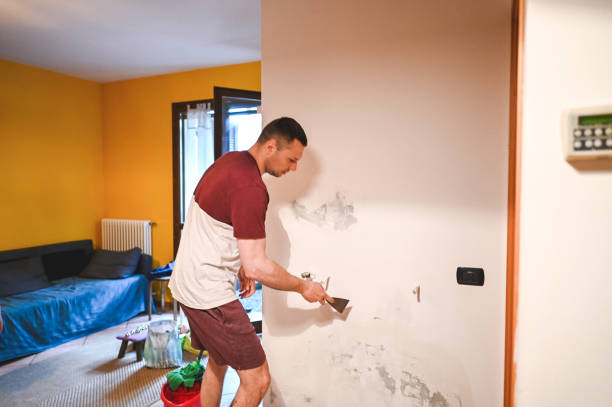 Best Toxic Mold Removal  in Wales, WI